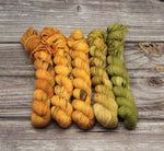 Load image into Gallery viewer, Pumpkin Patch Fade Set - Dye to Order
