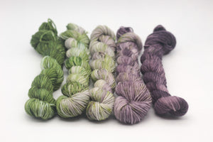 Suffragette - Dye to Order Fade Set
