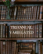 Load image into Gallery viewer, VARIEGATED Triannual Instalment - Year of Austen
