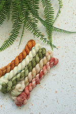 Load image into Gallery viewer, Mini Skein Sets - Midnight Diner Preorder
