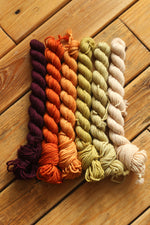 Load image into Gallery viewer, DK Mini Skein Sets
